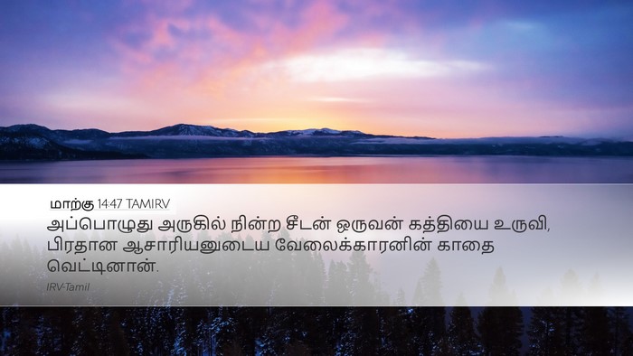 மாற்கு 14:47 TAMIRV Bible Verse Image