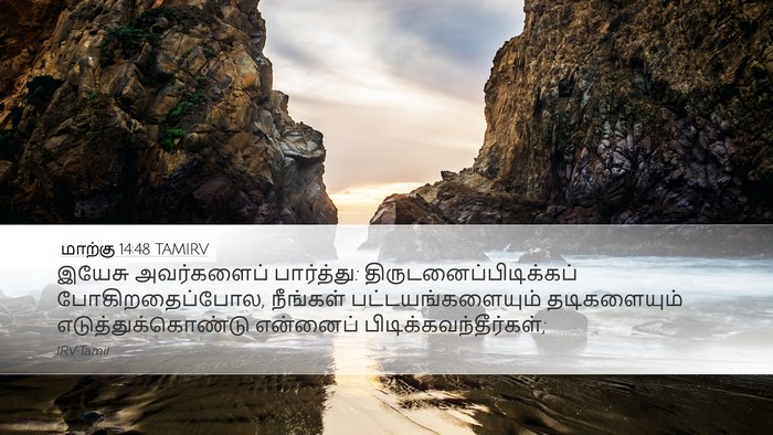 மாற்கு 14:48 TAMIRV Bible Verse Image