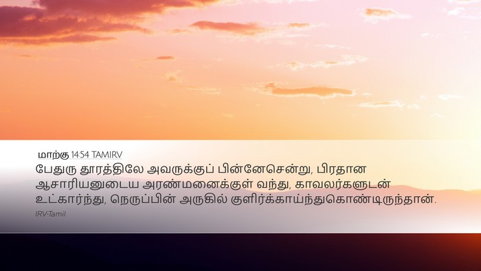 மாற்கு 14:54 TAMIRV Bible Verse Image