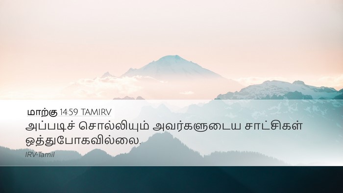 மாற்கு 14:59 TAMIRV Desktop Wallpaper - அப்படிச் - Desktop Bible Verse Wallpaper