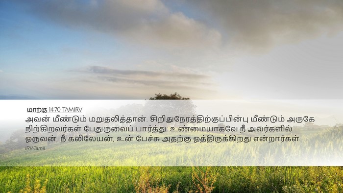 மாற்கு 14:70 TAMIRV Desktop Wallpaper - அவன் மீண்டும் - Desktop Bible Verse Wallpaper