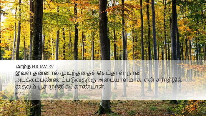 மாற்கு 14:8 TAMIRV Bible Verse Image