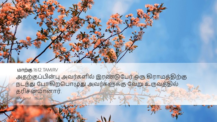 மாற்கு 16:12 TAMIRV Bible Verse Image