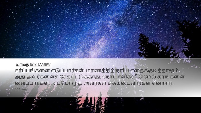 மாற்கு 16:18 TAMIRV Bible Verse Image
