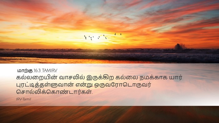 மாற்கு 16:3 TAMIRV Bible Verse Image