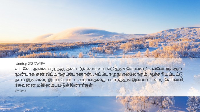 மாற்கு 2:12 TAMIRV Bible Verse Image