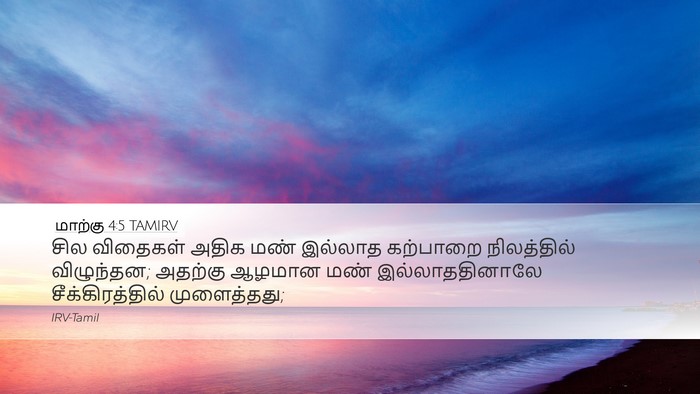 மாற்கு 4:5 TAMIRV Desktop Wallpaper - சில விதைகள் அதிக - Desktop Bible Verse Wallpaper
