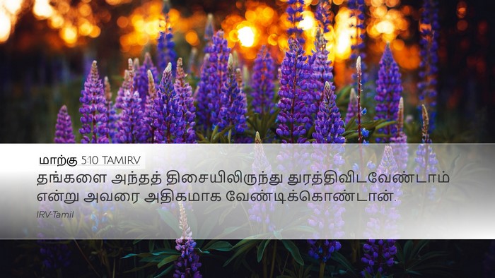 மாற்கு 5:10 TAMIRV Bible Verse Image