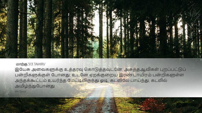 மாற்கு 5:13 TAMIRV Bible Verse Image