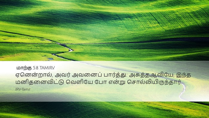 மாற்கு 5:8 TAMIRV Bible Verse Image