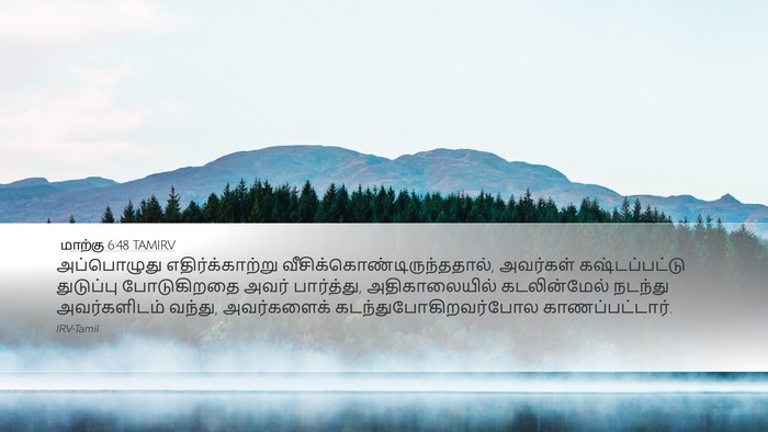 மாற்கு 6:48 TAMIRV Bible Verse Image