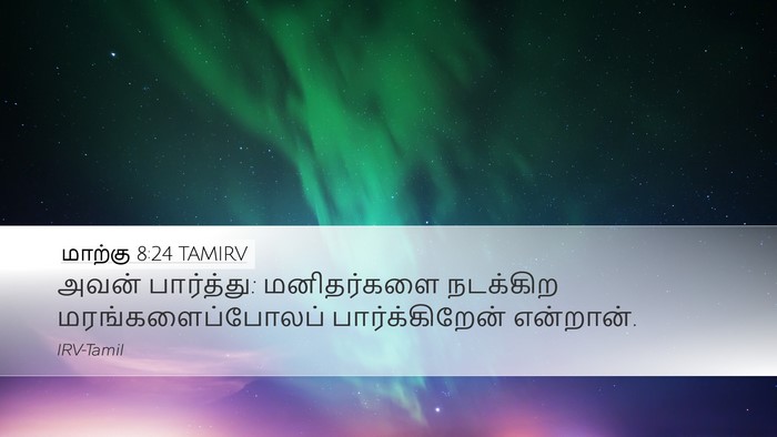 மாற்கு 8:24 TAMIRV Desktop Wallpaper - அவன் பார்த்து: - Desktop Bible Verse Wallpaper