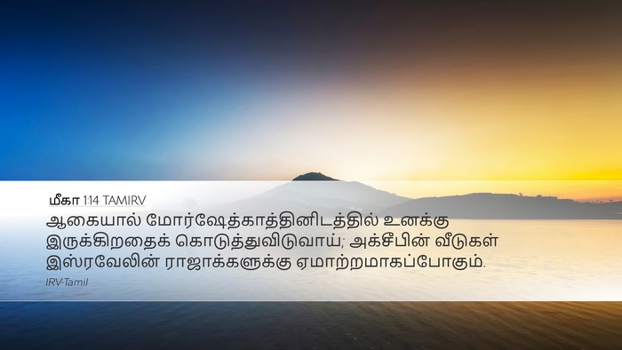 மீகா 1:14 TAMIRV Bible Verse Image