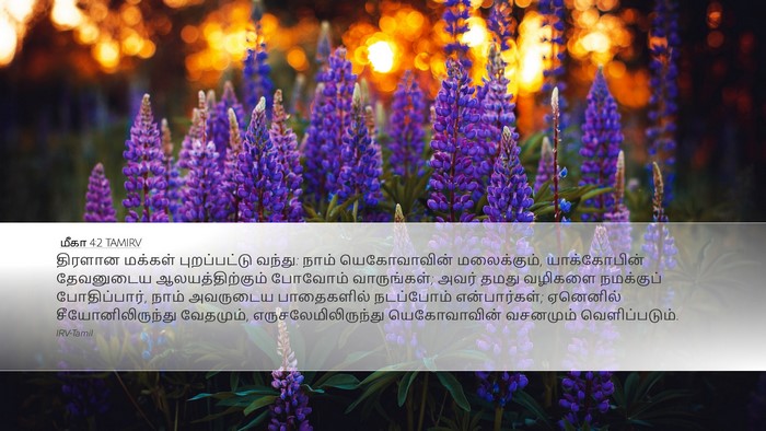 மீகா 4:2 TAMIRV Bible Verse Image