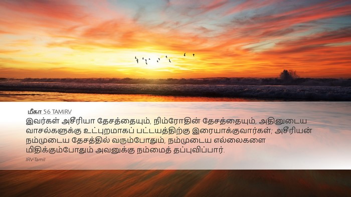 மீகா 5:6 TAMIRV Bible Verse Image