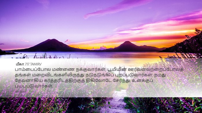 மீகா 7:17 TAMIRV Bible Verse Image