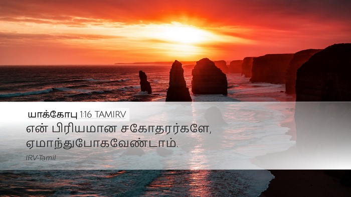 யாக்கோபு 1:16 TAMIRV Bible Verse Image