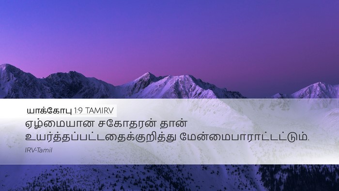 யாக்கோபு 1:9 TAMIRV Bible Verse Image