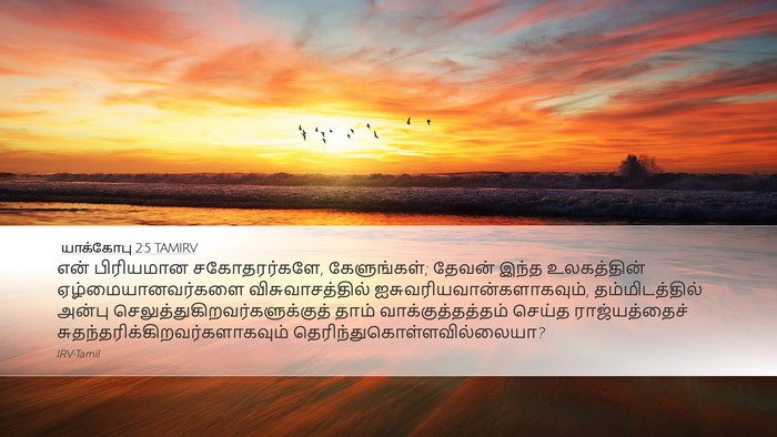 யாக்கோபு 2:5 TAMIRV Bible Verse Image