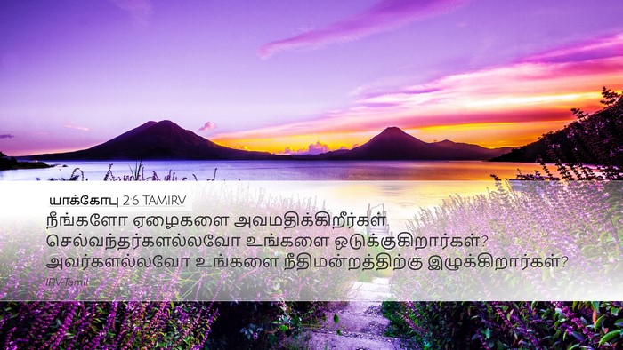 யாக்கோபு 2:6 TAMIRV Bible Verse Image