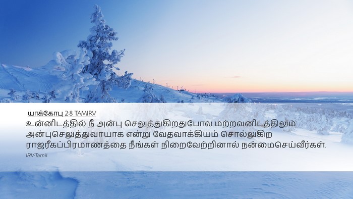யாக்கோபு 2:8 TAMIRV Bible Verse Image