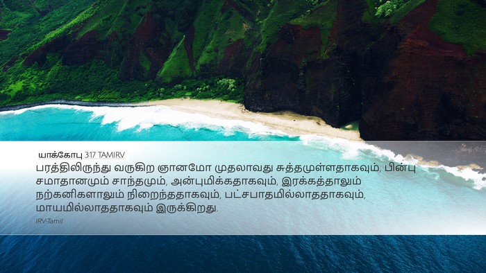 யாக்கோபு 3:17 TAMIRV Bible Verse Image