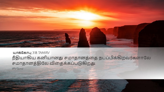 யாக்கோபு 3:18 TAMIRV Bible Verse Image