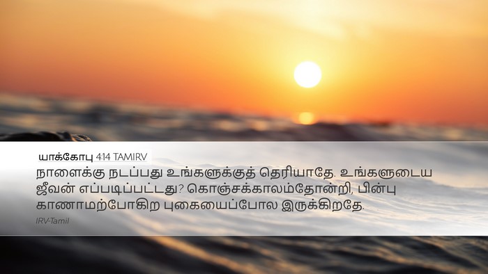 யாக்கோபு 4:14 TAMIRV Bible Verse Image