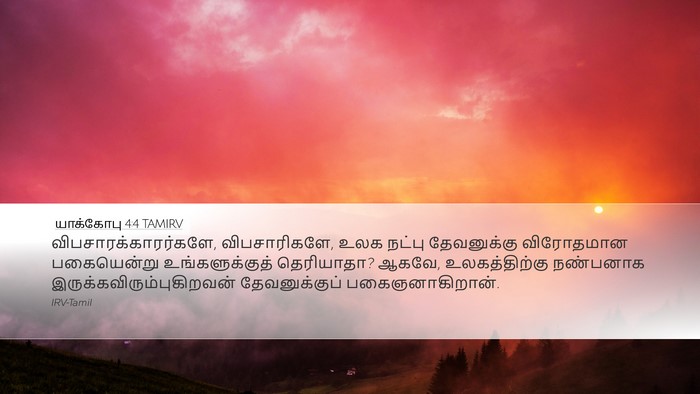 யாக்கோபு 4:4 TAMIRV Desktop Wallpaper - விபசாரக்காரர்களே, - Desktop Bible Verse Wallpaper