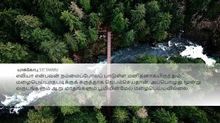 யாக்கோபு 5:17 TAMIRV Bible Verse Image