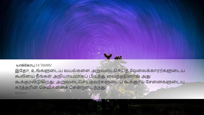 யாக்கோபு 5:4 TAMIRV Bible Verse Image