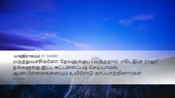 யாத்திராகமம் 1:17 TAMIRV Bible Verse Image