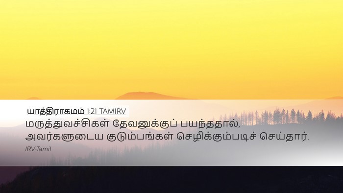 யாத்திராகமம் 1:21 TAMIRV Bible Verse Image
