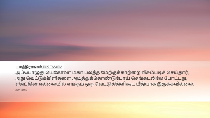 யாத்திராகமம் 10:19 TAMIRV Bible Verse Image