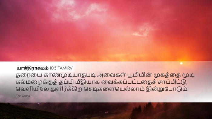 யாத்திராகமம் 10:5 TAMIRV Desktop Wallpaper - தரையை - Desktop Bible Verse Wallpaper