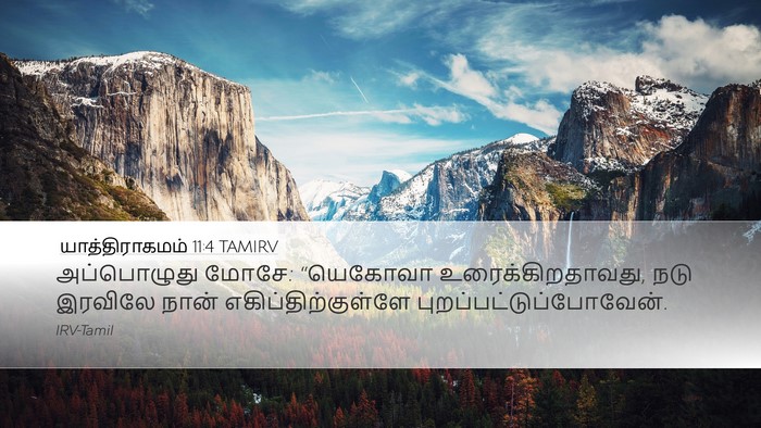 யாத்திராகமம் 11:4 TAMIRV Bible Verse Image