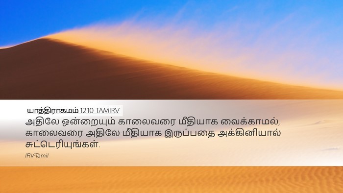 யாத்திராகமம் 12:10 TAMIRV Bible Verse Image