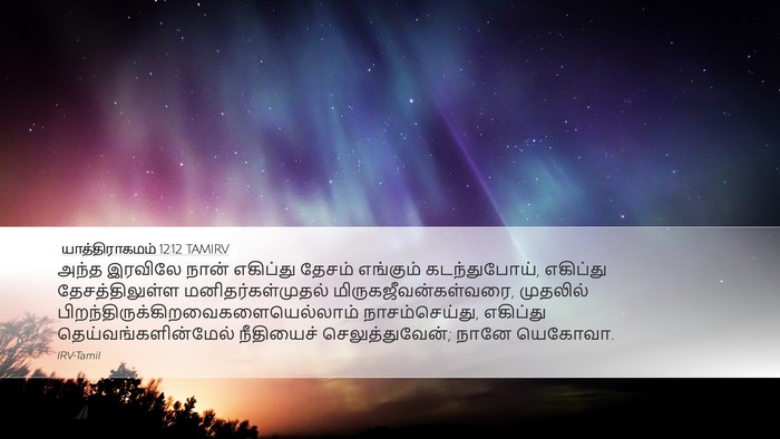 யாத்திராகமம் 12:12 TAMIRV Bible Verse Image