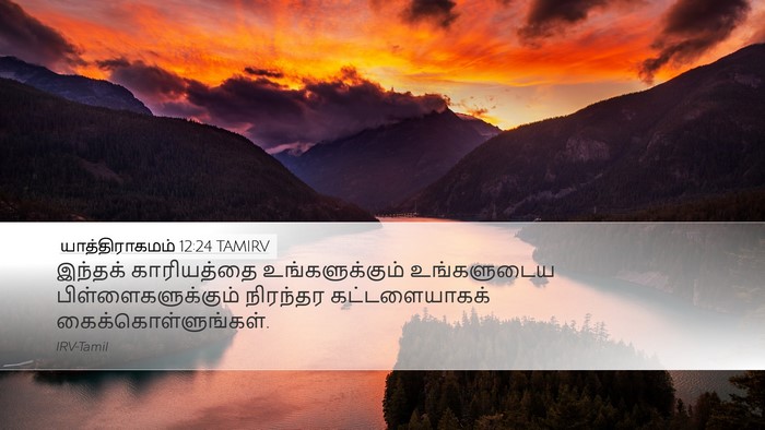 யாத்திராகமம் 12:24 TAMIRV Bible Verse Image