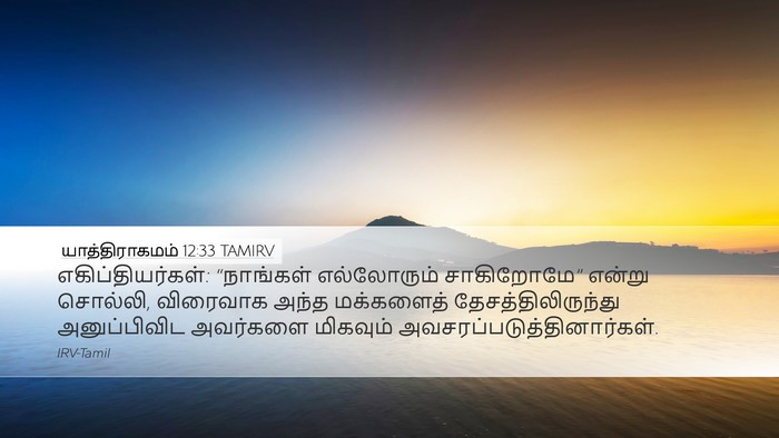 யாத்திராகமம் 12:33 TAMIRV Bible Verse Image