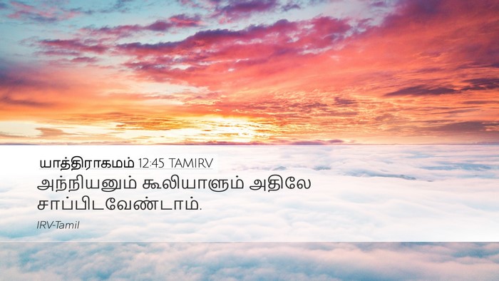 யாத்திராகமம் 12:45 TAMIRV Desktop Wallpaper - அந்நியனும் - Desktop Bible Verse Wallpaper