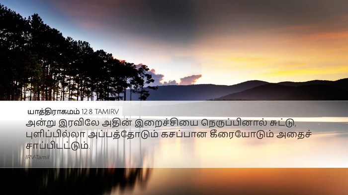 யாத்திராகமம் 12:8 TAMIRV Bible Verse Image
