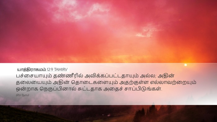 யாத்திராகமம் 12:9 TAMIRV Desktop Wallpaper - பச்சையாயும் - Desktop Bible Verse Wallpaper