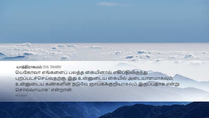 யாத்திராகமம் 13:16 TAMIRV Bible Verse Image