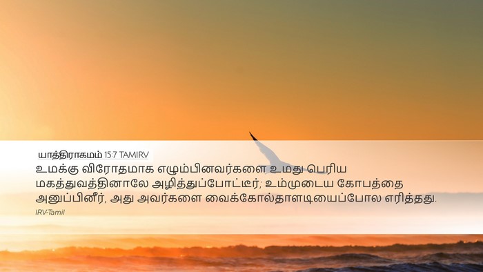 யாத்திராகமம் 15:7 TAMIRV Bible Verse Image