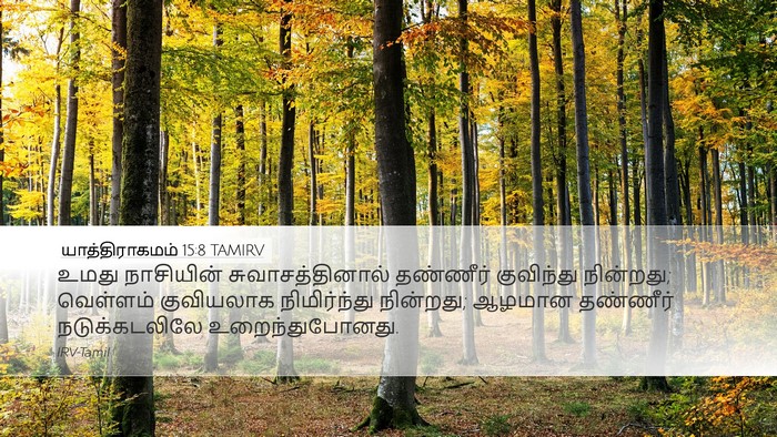 யாத்திராகமம் 15:8 TAMIRV Bible Verse Image