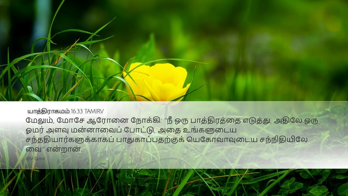 யாத்திராகமம் 16:33 TAMIRV Bible Verse Image