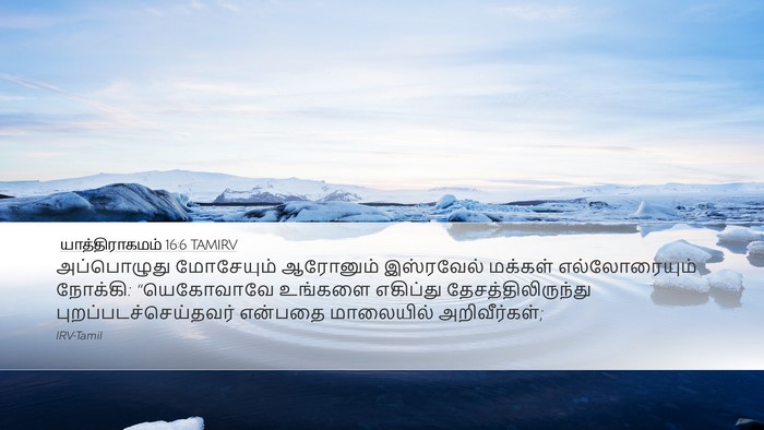 யாத்திராகமம் 16:6 TAMIRV Desktop Wallpaper - அப்பொழுது - Desktop Bible Verse Wallpaper