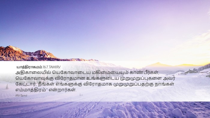 யாத்திராகமம் 16:7 TAMIRV Bible Verse Image