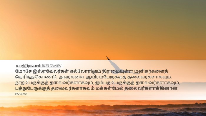 யாத்திராகமம் 18:25 TAMIRV Bible Verse Image